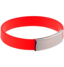 Силиконовый браслет Brisky с металлическим шильдом, красный