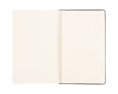 Записная книжка Moleskine Professional Large, черная