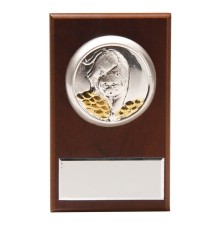 Плакетка малая «Тигр на монетах» с возможностью персонализации