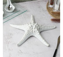 Блюдо для подачи 24 см h6 см Звезда Gray Starfish Frutti di Mare P.L. [1]