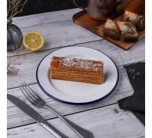 Тарелка d 20,5 см h1,7 см Blue Rim эмалированая сталь SUNNEX [1]