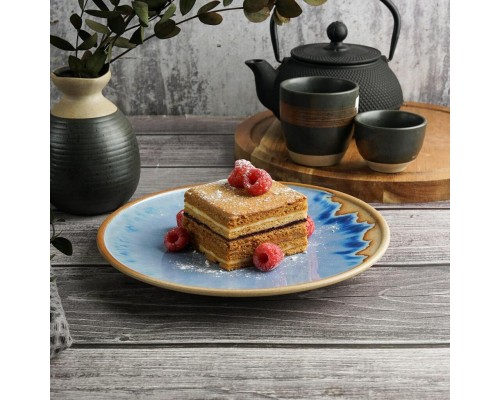 Тарелка d 21 см h2,4 см Blue Panasia P.L. Proff Cuisine [1]