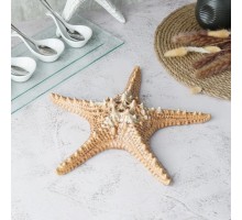 Блюдо для подачи 28*28 см h6 см 100 мл Звезда Pearl Starfish Frutti di Mare P.L. [1]