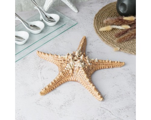 Блюдо для подачи 28*28 см h6 см 100 мл Звезда Pearl Starfish Frutti di Mare P.L. [1]