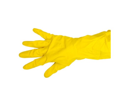 Резиновые перчатки Professional Paclan, р-р S