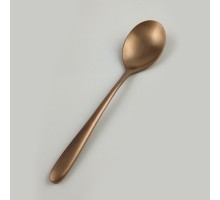 Ложка столовая 21 см матовая медь PVD Alessi-Copper P.L. [12]